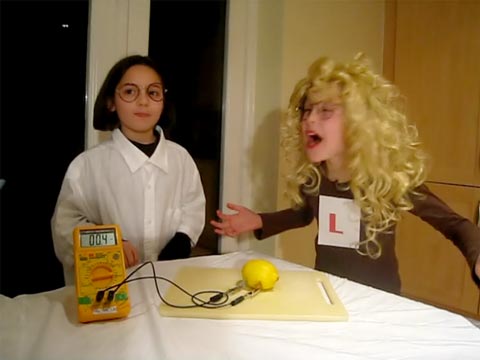 The Electric Lemon